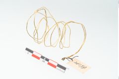 Foto von Goldspiralarmring (NHMW-PRAE-026179)